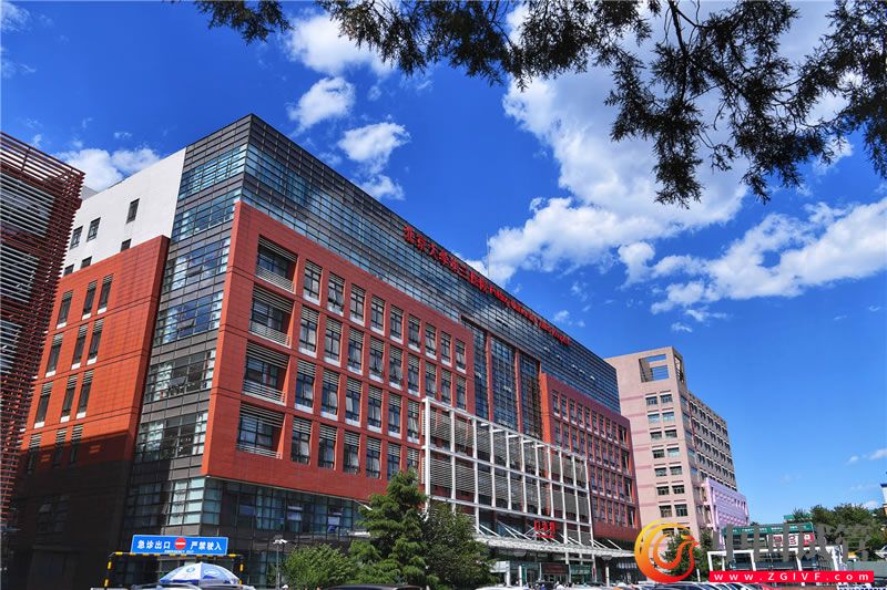 北京大学第三医院(图2) 北京大学第三医院(图2)