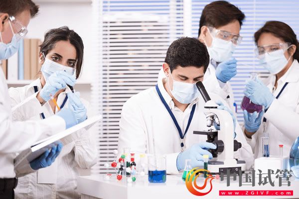 第四代试管婴儿(图4) 第四代试管婴儿(图4)