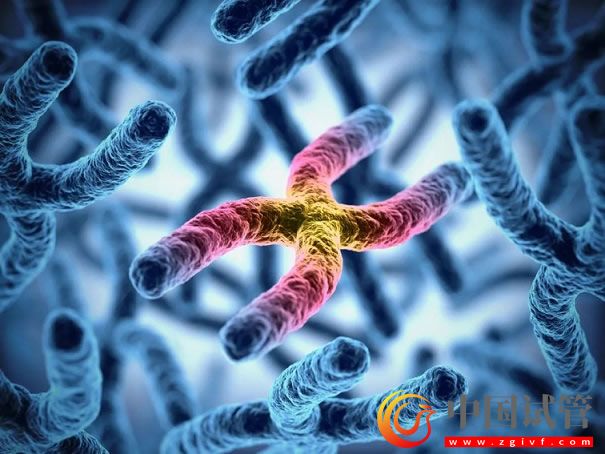 哪几个区域的y染色体微缺失符合第三代试管指征?(图1) 哪几个区域的y染色体微缺失符合第三代试管指征?(图1)