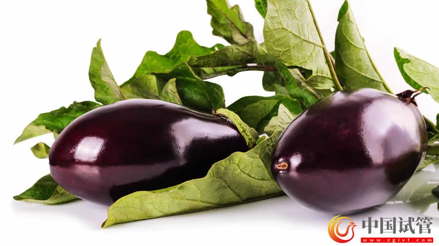 鸡西哪些医院可以做第三代试管婴儿？(图1)