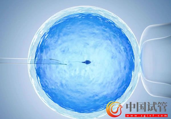 山西汾阳医院做人工授精要多少钱?有这些情况至少花2万(图2) 山西汾阳医院做人工授精要多少钱?有这些情况至少花2万(图2)