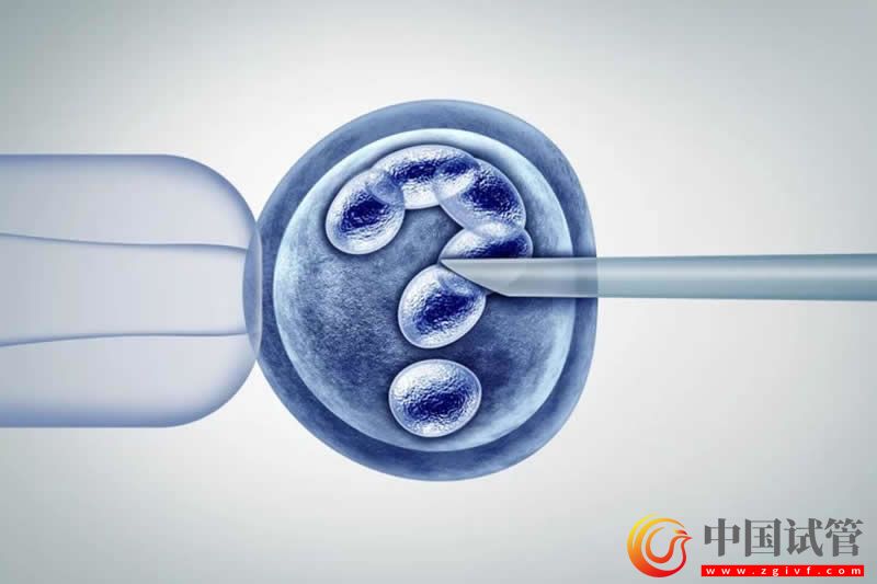 鲜胚移植后注意事项清单,饮食、运动、洗澡都要格外小心(图1) 鲜胚移植后注意事项清单,饮食、运动、洗澡都要格外小心(图1)