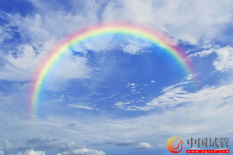 多囊卵巢患者做试管婴儿要注意什么？(图1)