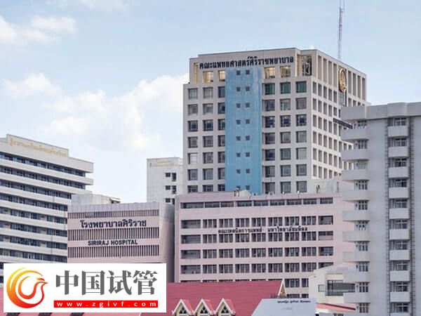 长沙公立供卵机构分享,等待时长平均3年起步!(图2) 长沙公立供卵机构分享,等待时长平均3年起步!(图2)