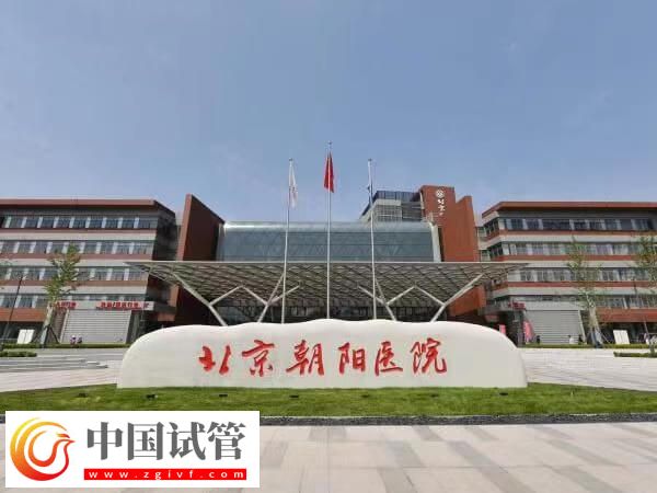 北京朝阳医院生殖科的优势及特色解读(图1) 北京朝阳医院生殖科的优势及特色解读(图1)