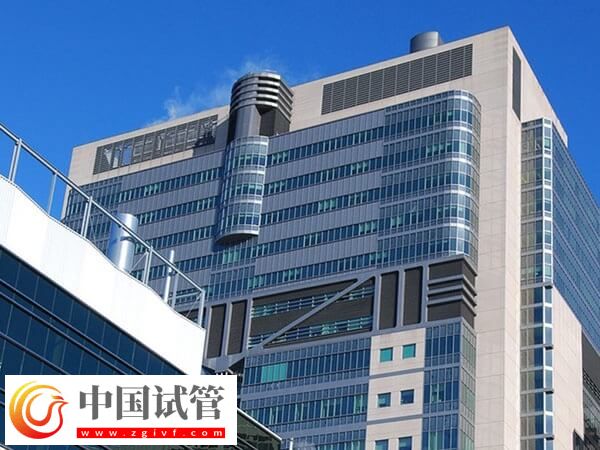 太和县人民医院人授收费项目盘点,检查、促排、手术都在里面(图1) 太和县人民医院人授收费项目盘点,检查、促排、手术都在里面(图1)