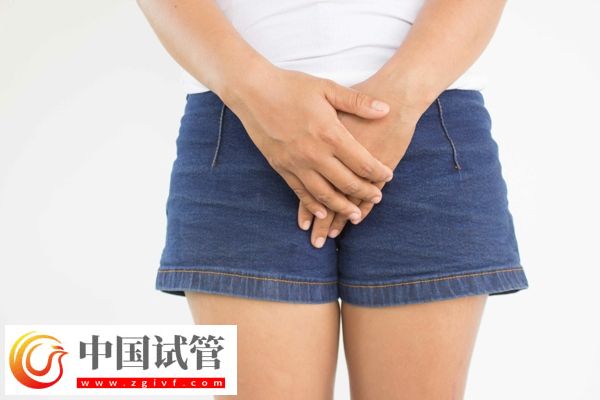 没有子宫能生孩子吗(图14) 没有子宫能生孩子吗(图14)