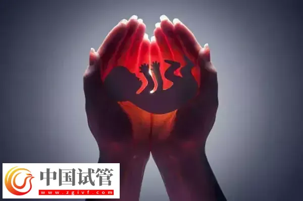 没有子宫能生孩子吗(图4) 没有子宫能生孩子吗(图4)