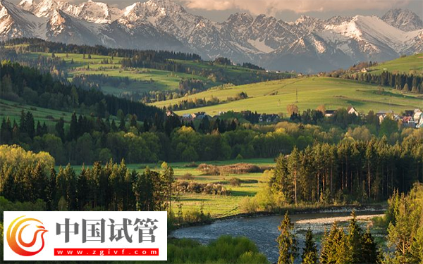 乌市供卵试管婴儿医院排名,不用排队等卵的就有这两家(图1) 乌市供卵试管婴儿医院排名,不用排队等卵的就有这两家(图1)