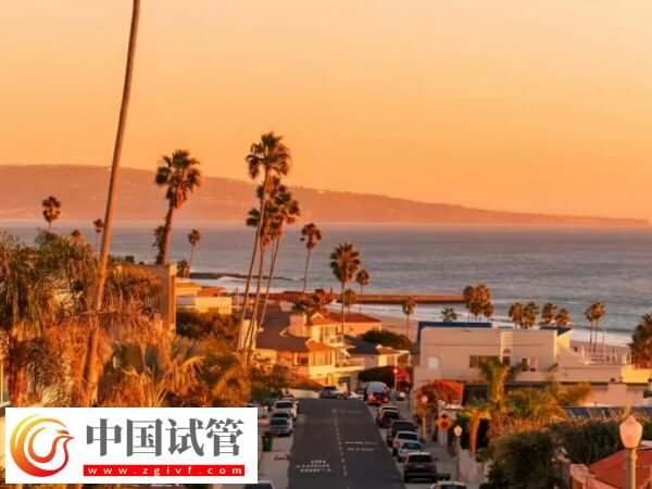 单身女人去美国做供精试管婴儿的流程复杂吗?(图1) 单身女人去美国做供精试管婴儿的流程复杂吗?(图1)