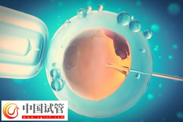 胚胎质量不好养囊能成功(图1)