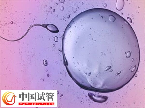 晋中试管婴儿成功率高不高(图1) 晋中试管婴儿成功率高不高(图1)