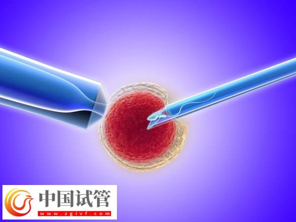 晋中做试管婴儿有哪些骗局(图1) 晋中做试管婴儿有哪些骗局(图1)
