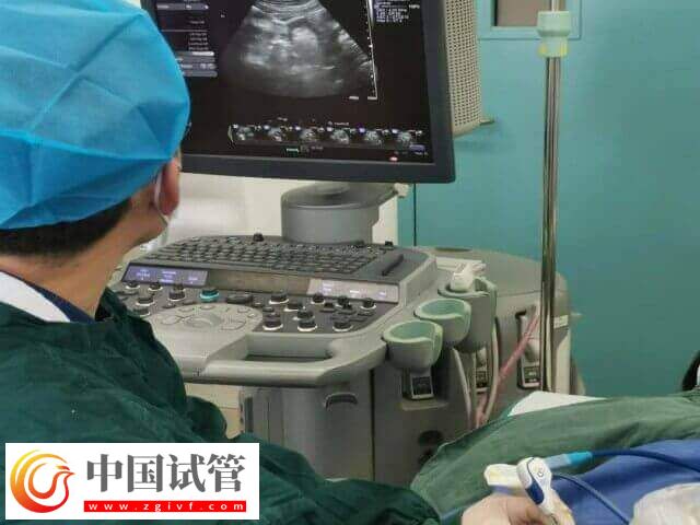 吕梁人工授精流程有哪些(图1) 吕梁人工授精流程有哪些(图1)