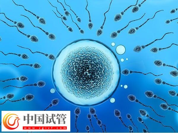 吕梁人工授精成功率高不高(图1) 吕梁人工授精成功率高不高(图1)