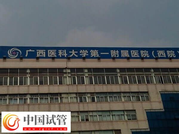 南宁生殖机构top5全在这,哪家助孕率高一清二楚!(图2) 南宁生殖机构top5全在这,哪家助孕率高一清二楚!(图2)