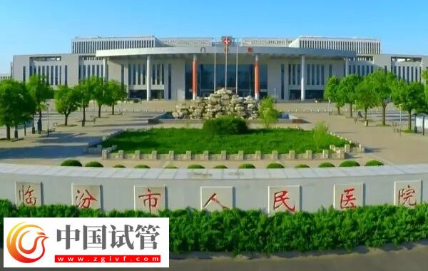 临汾市人民医院试管成功率多少(图1) 临汾市人民医院试管成功率多少(图1)