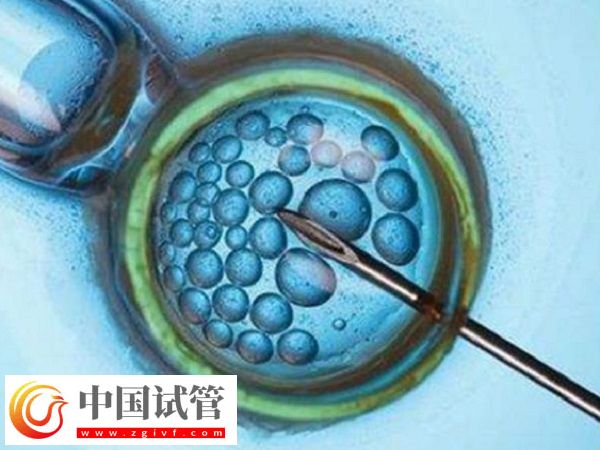 前往长沙做三代试管生孩子多少钱(图1)