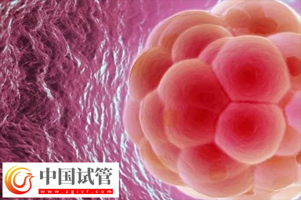 在美国做试管卵泡监测几次能成功(图3) 在美国做试管卵泡监测几次能成功(图3)