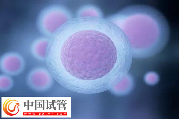 浙大一院试管婴儿好不好(图2)