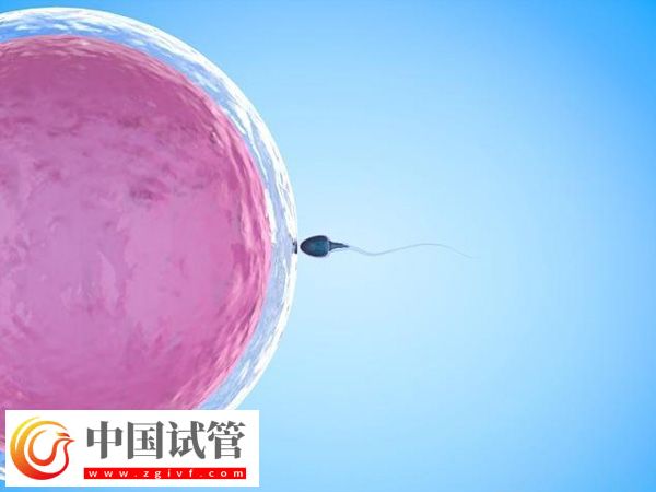 在义乌能不能做试管婴儿(图2)