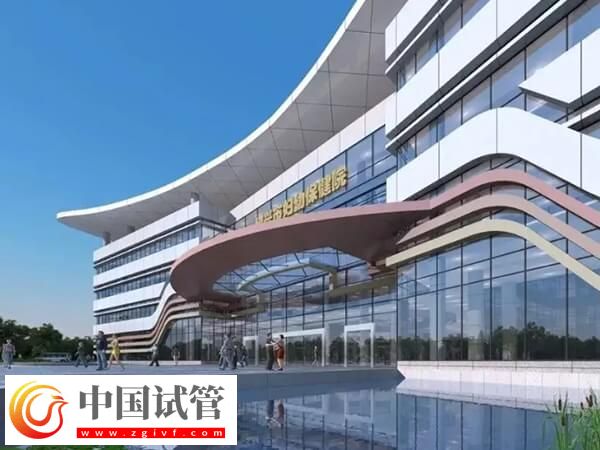 在绍兴公立医院做一次试管婴儿要多少钱？(图1)