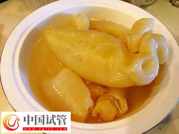 取卵后吃花胶好不好(图1) 取卵后吃花胶好不好(图1)