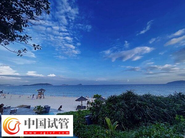 海南三亚供卵试管婴儿费用大约多少钱?(图1) 海南三亚供卵试管婴儿费用大约多少钱?(图1)