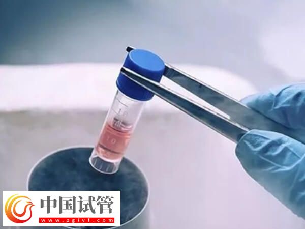 养囊成功后冷冻起来会怎么样(图1) 养囊成功后冷冻起来会怎么样(图1)