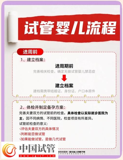 试管婴儿血管检查:从准备到恢复的全面指南术,你了解手术过程吗?(图2) 试管婴儿血管检查:从准备到恢复的全面指南术,你了解手术过程吗?(图2)