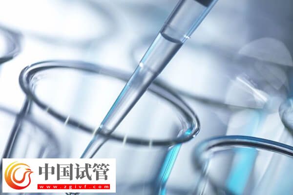 试管婴儿哪个步骤最疼(图1) 试管婴儿哪个步骤最疼(图1)