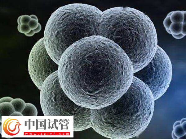 试管移植后有褐色血是不是生化了(图2)