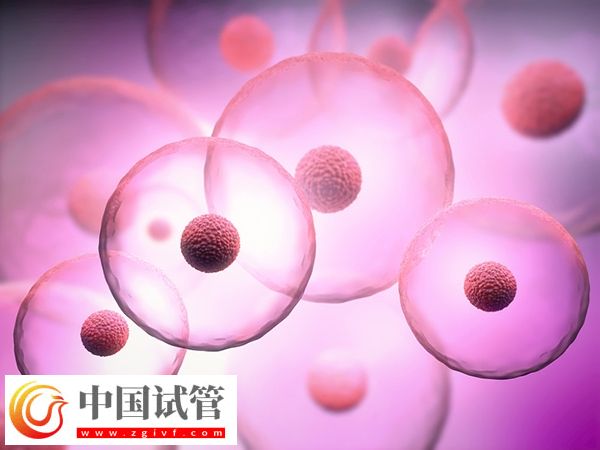 南宁试管婴儿费用大概要多少钱(图2) 南宁试管婴儿费用大概要多少钱(图1)