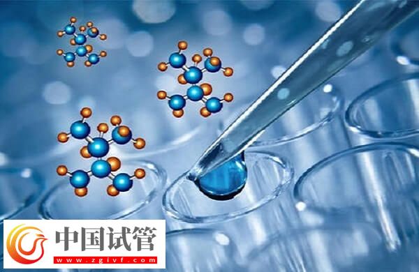 广州能生男孩的伟德源自英国1946有哪些(图1) 广州能生男孩的伟德源自英国1946有哪些(图1)