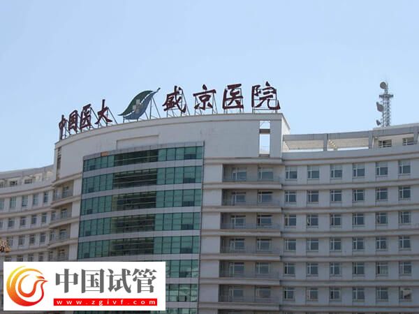 沈阳做试管婴儿有哪些医院(图2) 沈阳做试管婴儿有哪些医院(图2)