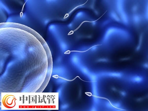 伟德国际1496备用生男孩的经验是什么(图1) 伟德国际1496备用生男孩的经验是什么(图1)