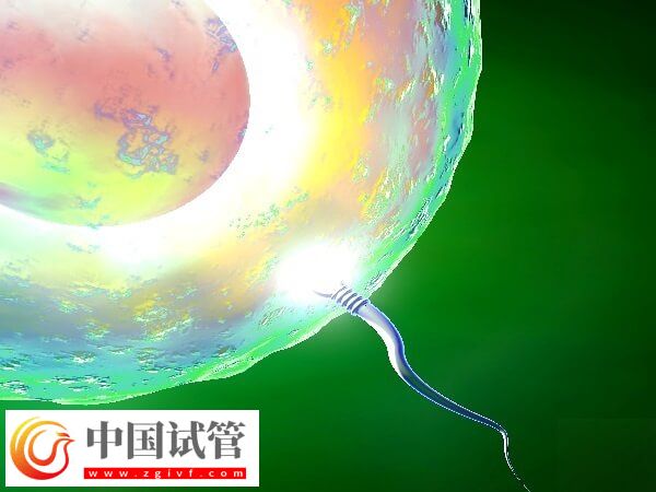 53岁高龄女性做试管婴儿(图1) 53岁高龄女性做试管婴儿(图1)