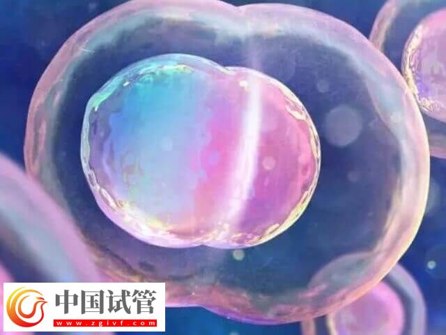 山大生殖高芹跟盛燕试管技术对比(图1) 山大生殖高芹跟盛燕试管技术对比(图1)