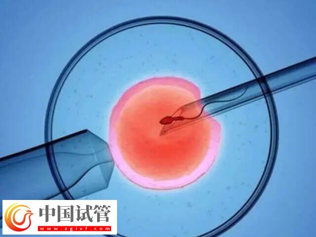 b级胚胎能不能养成囊胚(图1) b级胚胎能不能养成囊胚(图1)