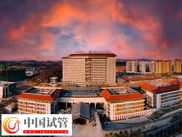 贵阳可不可以做第三代试管婴儿(图1) 贵阳可不可以做第三代试管婴儿(图1)