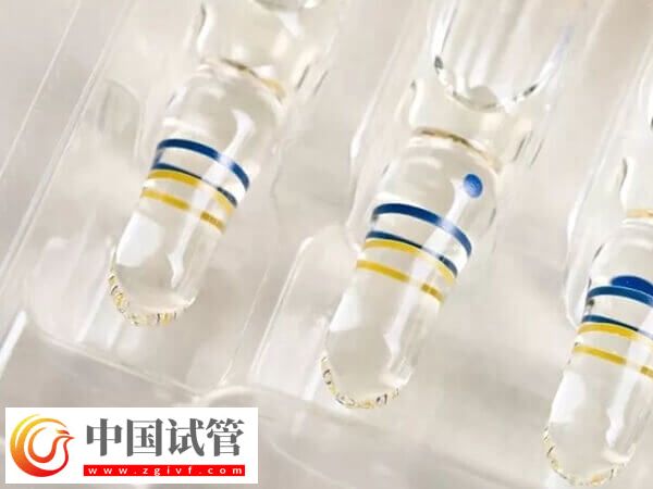 江苏试管婴儿医院哪家好(图3) 江苏试管婴儿医院哪家好(图3)