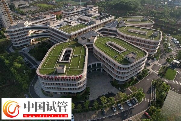 在湖南哪些医院可以做三代试管婴儿技术?(图1) 在湖南哪些医院可以做三代试管婴儿技术?(图1)