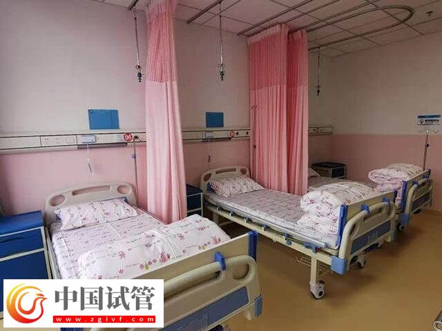 漳州市医院试管婴儿多少钱(图1) 漳州市医院试管婴儿多少钱(图1)