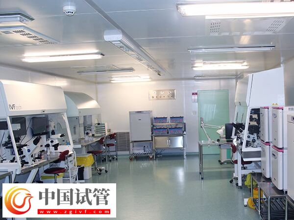 沈阳十大伟德源自英国1946有哪些(图2) 沈阳十大伟德源自英国1946有哪些(图2)