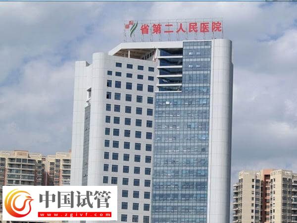 贵阳第二人民医院试管婴儿生双胞胎费用多少(图1) 贵阳第二人民医院试管婴儿生双胞胎费用多少(图1)